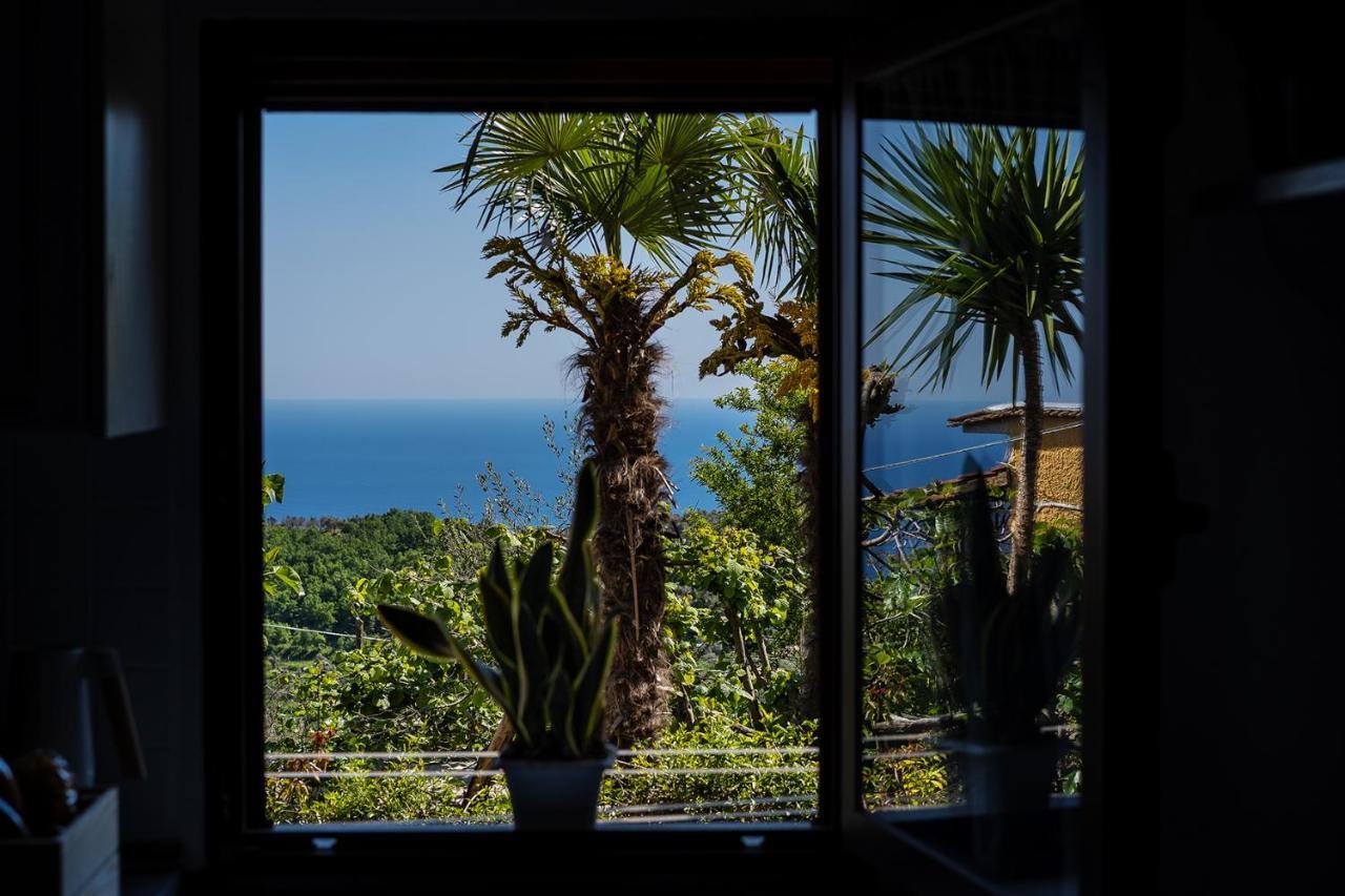 Nonna Carmela Apartment SantʼAgata sui Due Golfi Exteriér fotografie